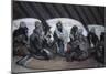 Moses and Jethro-James Tissot-Mounted Giclee Print