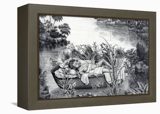 Moses Hidden In Basket-Science Source-Framed Premier Image Canvas