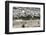 Moslem Golden Dome of the Rock, Outside Walls, and Historic Jewish Cemetery, City of JerUSAlem-Dave Bartruff-Framed Photographic Print