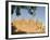 Mosque at Djenne, Mali, West Africa-Janis Miglavs-Framed Photographic Print