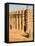 Mosque at Djenne, the largest mud-brick building in the world, Mali, West Africa-Janis Miglavs-Framed Premier Image Canvas