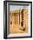 Mosque at Djenne, the largest mud-brick building in the world, Mali, West Africa-Janis Miglavs-Framed Photographic Print