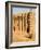 Mosque at Djenne, the largest mud-brick building in the world, Mali, West Africa-Janis Miglavs-Framed Photographic Print