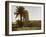 Mosque at Medamut (suburb of Thebes)-English Photographer-Framed Giclee Print