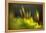 Moss 2-Ursula Abresch-Framed Premier Image Canvas