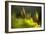 Moss 2-Ursula Abresch-Framed Photographic Print