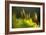 Moss 2-Ursula Abresch-Framed Photographic Print