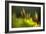 Moss 2-Ursula Abresch-Framed Photographic Print