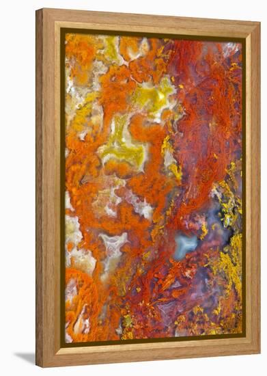 Moss Agate-Darrell Gulin-Framed Premier Image Canvas