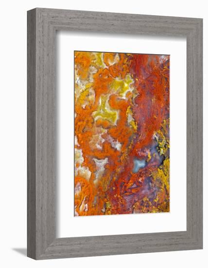 Moss Agate-Darrell Gulin-Framed Photographic Print