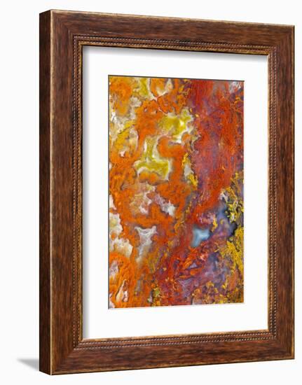 Moss Agate-Darrell Gulin-Framed Photographic Print