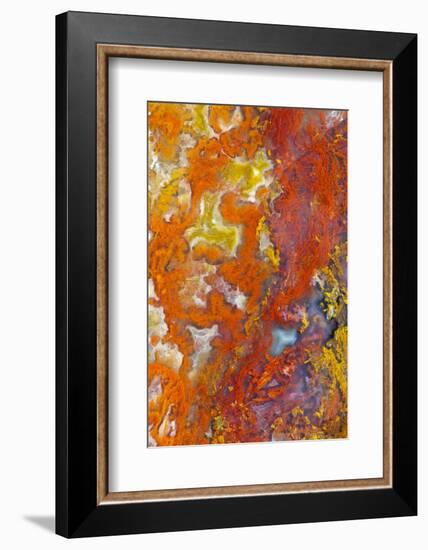 Moss Agate-Darrell Gulin-Framed Photographic Print