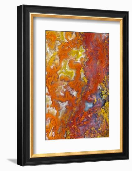 Moss Agate-Darrell Gulin-Framed Photographic Print