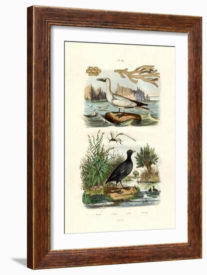 Moss Animal, 1833-39-null-Framed Giclee Print