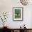 Moss Chairs-Stacy Bass-Framed Giclee Print displayed on a wall