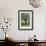 Moss Chairs-Stacy Bass-Framed Giclee Print displayed on a wall