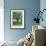 Moss Chairs-Stacy Bass-Framed Giclee Print displayed on a wall