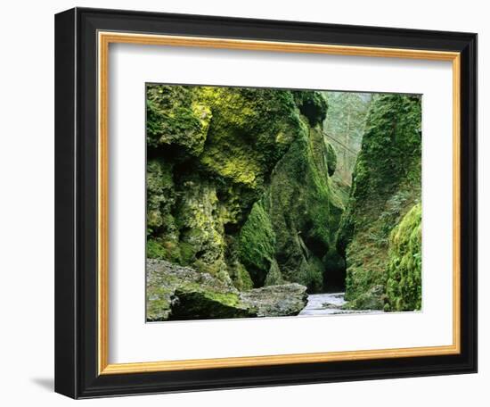 Moss Coating Oneonta Gorge-Jim Zuckerman-Framed Photographic Print