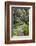 Moss Covered Forest Above Lake Mackenzie, Routeburn Track, Fiordland National Park-Stuart Black-Framed Photographic Print