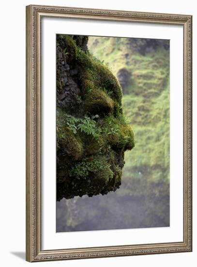 Moss Covered Rock Shaped Like a Face by Skogarfoss Waterfalls, Iceland-null-Framed Photographic Print