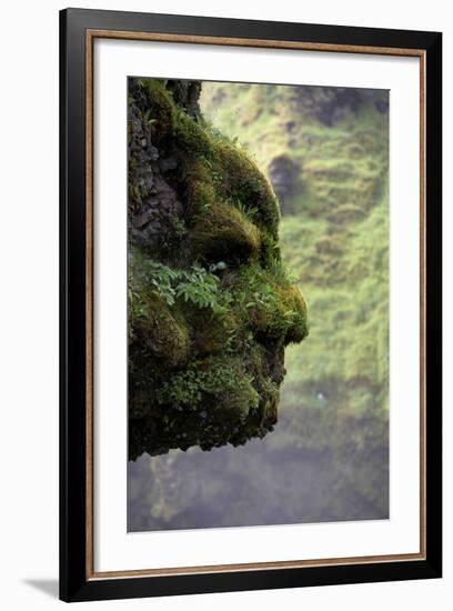 Moss Covered Rock Shaped Like a Face by Skogarfoss Waterfalls, Iceland-null-Framed Photographic Print