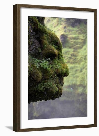 Moss Covered Rock Shaped Like a Face by Skogarfoss Waterfalls, Iceland-null-Framed Photographic Print