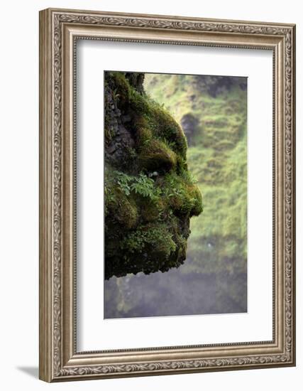 Moss Covered Rock Shaped Like a Face by Skogarfoss Waterfalls, Iceland-null-Framed Photographic Print