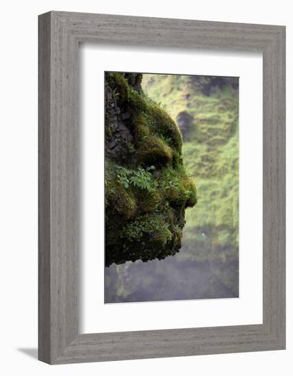 Moss Covered Rock Shaped Like a Face by Skogarfoss Waterfalls, Iceland-null-Framed Photographic Print