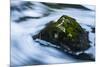 Moss Covered Rock Slow Swirling Water-Anthony Paladino-Mounted Giclee Print