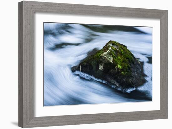 Moss Covered Rock Slow Swirling Water-Anthony Paladino-Framed Giclee Print