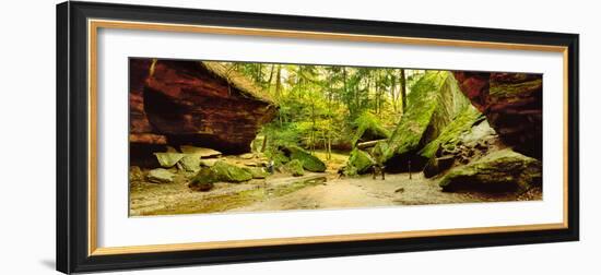 Moss covered rocks in forest, Rocky Hollow Falls Canyon, Turkey Run State Park, Marshall, Indian...-null-Framed Photographic Print