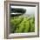 Moss Covered Rocks on Beach in Japan-Micha Pawlitzki-Framed Photographic Print