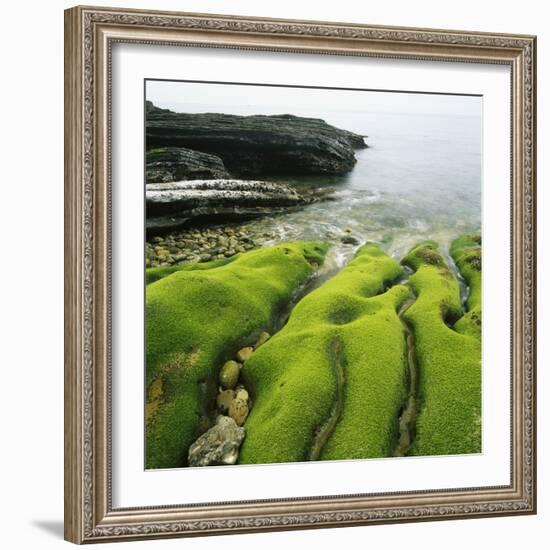 Moss Covered Rocks on Beach in Japan-Micha Pawlitzki-Framed Photographic Print