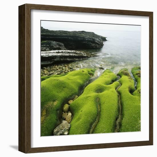 Moss Covered Rocks on Beach in Japan-Micha Pawlitzki-Framed Photographic Print