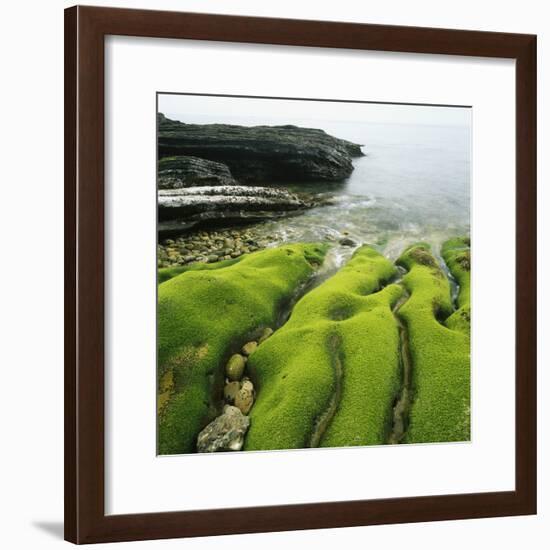 Moss Covered Rocks on Beach in Japan-Micha Pawlitzki-Framed Photographic Print
