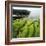 Moss Covered Rocks on Beach in Japan-Micha Pawlitzki-Framed Photographic Print