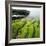 Moss Covered Rocks on Beach in Japan-Micha Pawlitzki-Framed Photographic Print