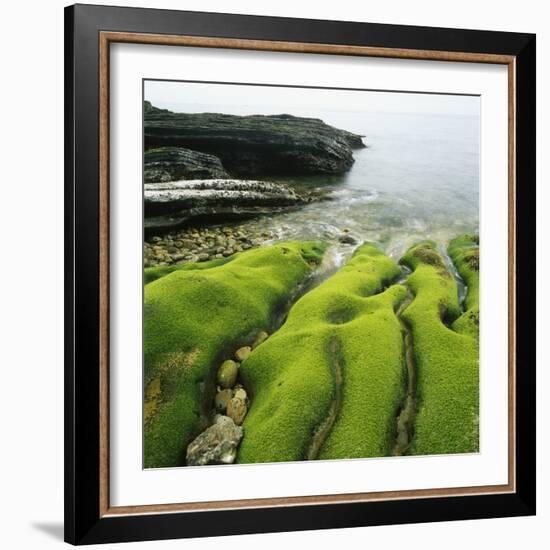 Moss Covered Rocks on Beach in Japan-Micha Pawlitzki-Framed Photographic Print