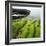 Moss Covered Rocks on Beach in Japan-Micha Pawlitzki-Framed Photographic Print