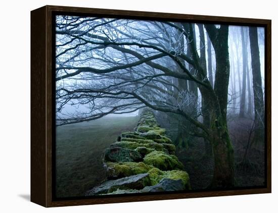 Moss Covered Stone Wall and Trees in Dense Fog-Tommy Martin-Framed Premier Image Canvas