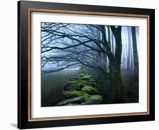 Moss Covered Stone Wall and Trees in Dense Fog-Tommy Martin-Framed Photographic Print