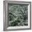 Moss Covered Tree-Micha Pawlitzki-Framed Photographic Print