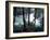 Moss-Covered Trees Frame a Bend in the Boulder River in Snohomish, Washington, USA-William Sutton-Framed Photographic Print