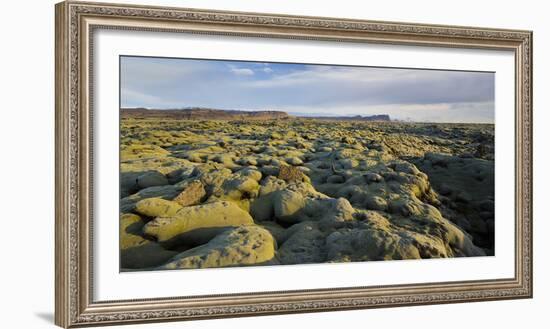 Moss Cushion on a Lava Field, Near Kirkjubaerklaustur, Eldhraun, South Iceland, Iceland-Rainer Mirau-Framed Photographic Print