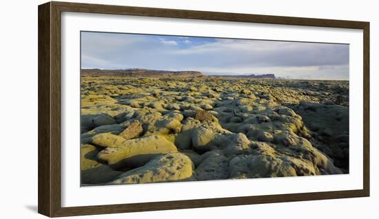 Moss Cushion on a Lava Field, Near Kirkjubaerklaustur, Eldhraun, South Iceland, Iceland-Rainer Mirau-Framed Photographic Print