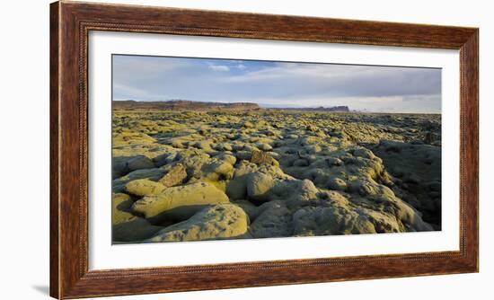 Moss Cushion on a Lava Field, Near Kirkjubaerklaustur, Eldhraun, South Iceland, Iceland-Rainer Mirau-Framed Photographic Print