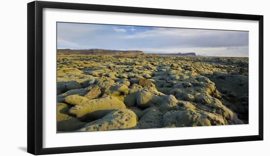 Moss Cushion on a Lava Field, Near Kirkjubaerklaustur, Eldhraun, South Iceland, Iceland-Rainer Mirau-Framed Photographic Print