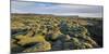 Moss Cushion on a Lava Field, Near Kirkjubaerklaustur, Eldhraun, South Iceland, Iceland-Rainer Mirau-Mounted Photographic Print