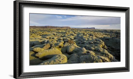 Moss Cushion on a Lava Field, Near Kirkjubaerklaustur, Eldhraun, South Iceland, Iceland-Rainer Mirau-Framed Photographic Print