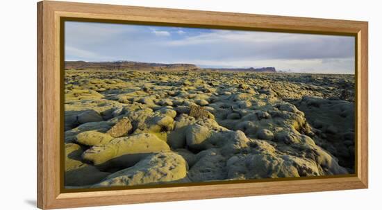 Moss Cushion on a Lava Field, Near Kirkjubaerklaustur, Eldhraun, South Iceland, Iceland-Rainer Mirau-Framed Premier Image Canvas